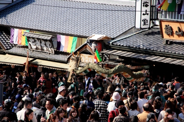 japan_seiryu_kiyomizu-dera_18.jpg