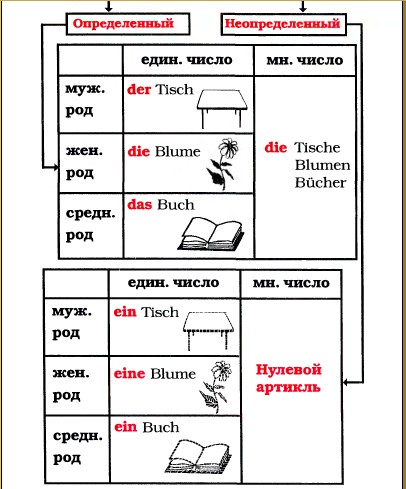Род существительного, обозначаемого артиклем.jpg