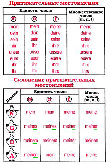 Притяжательные местоимения.jpg