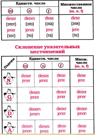 Указательные местоимения.jpg