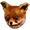 :ykurfox