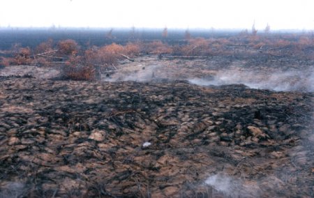 Торфяные месторождения Беларуси