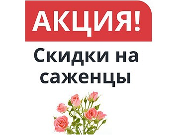 купить саженцы скидки