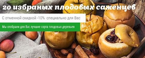 саженцы минск скидки