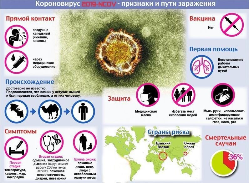 коронавирус, симптомы, лечение, последние новости, китай, февраль, 2020